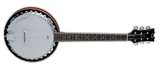 DEAN BACKWOODS 6 STRING BANJO – GUITAR/BANJO